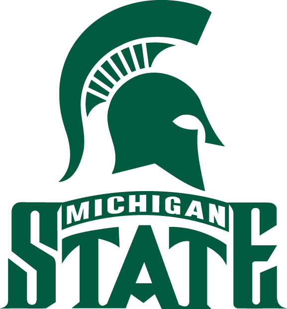 Michigan State Spartans 1987-Pres Alternate Logo diy fabric transfer
